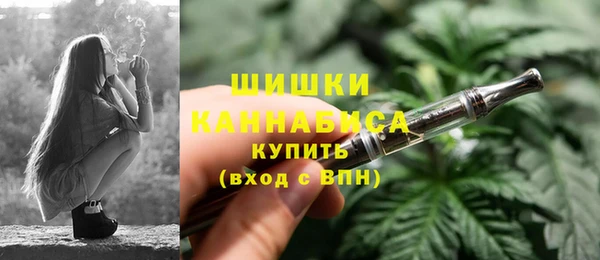 гидра Арсеньев