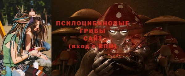 гидропоника Аркадак