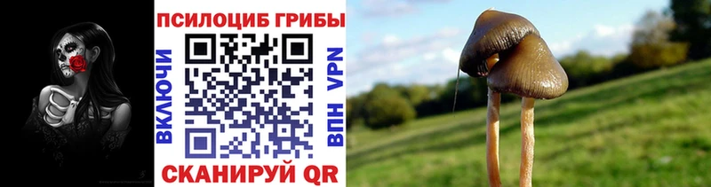 Псилоцибиновые грибы мицелий Кадников